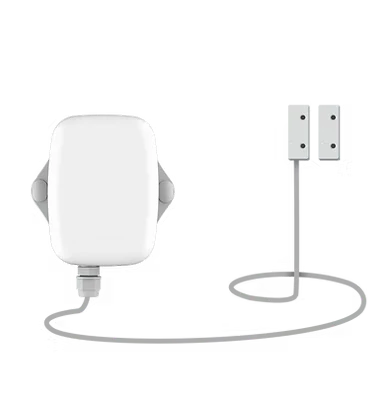 Magnetic Gate Switch